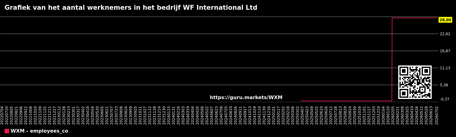 Grafiek van het aantal werknemers in het bedrijf WF International Ltd